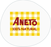 Logotipo de Aneto